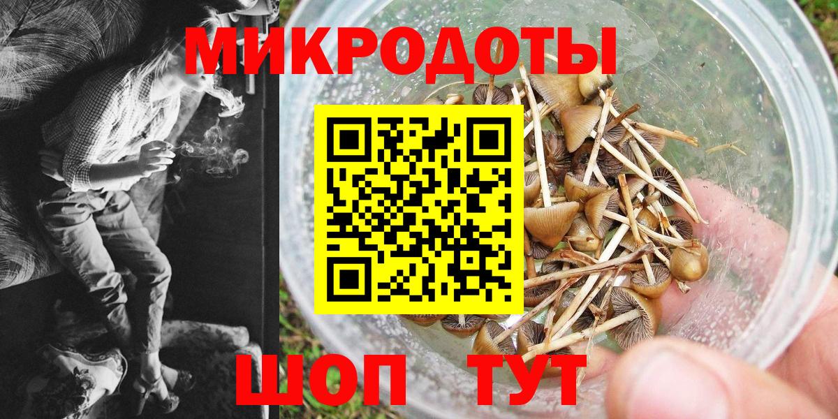 Мирный  где продают   Псилоцибиновые грибы Magic Shrooms  Вход с VPN  Галлюциногенные грибы Cubensis 